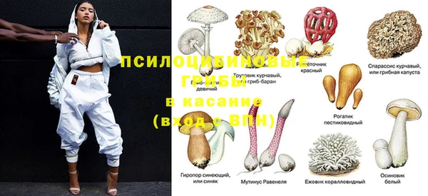 эйфоретик Белокуриха