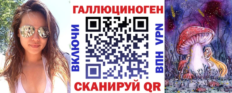 купить наркоту  Шимановск  Псилоцибиновые грибы Psilocybine cubensis 